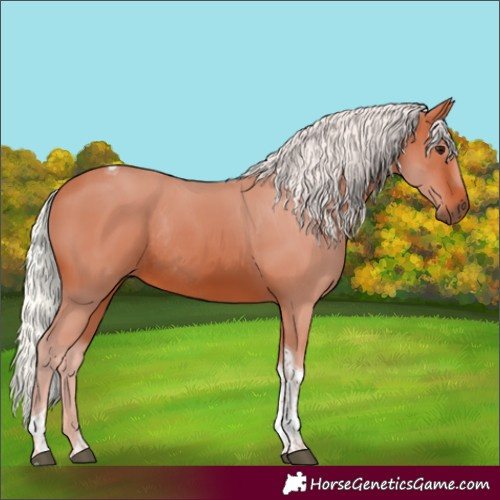 Horse Color:Silver Bay Tobiano Rabicano