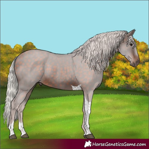 Horse Color:Silver Brown Tobiano 
