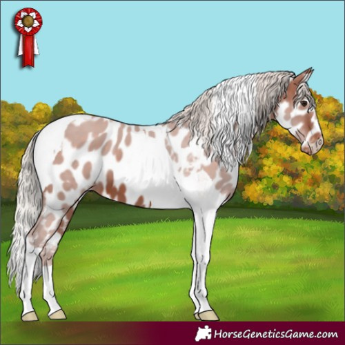 Horse Color:Silver Brown Tobiano Leopard