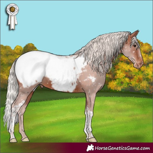 Horse Color:Silver Brown Tobiano Near Fewspot Rabicano