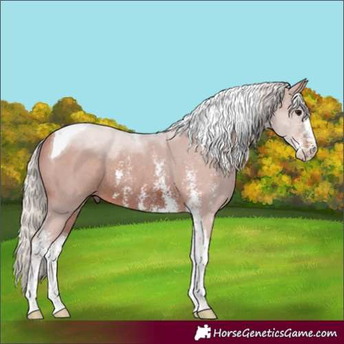 Horse Color:Silver Brown Sabino Tobiano Rabicano 