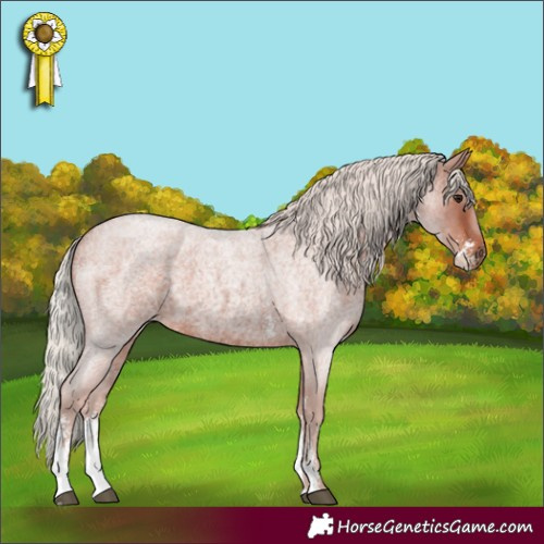 Horse Color:Silver Bay Roan Sabino 