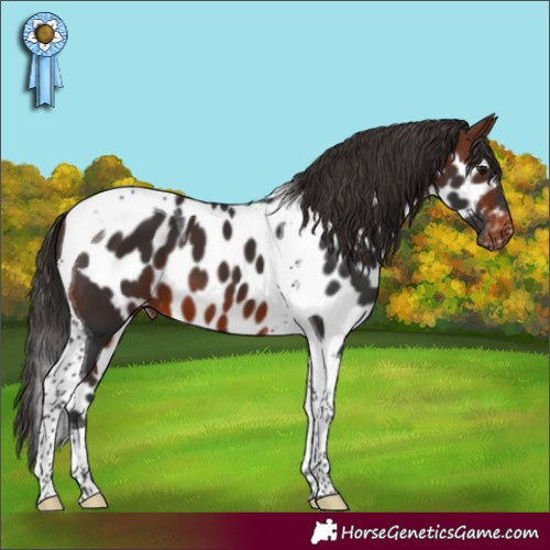 Horse Color:Brown Tobiano Skewed LP Spotted 