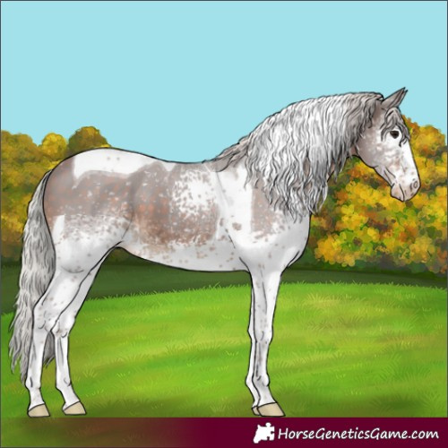Horse Color:White Spotted Silver Brown Tobiano Skewed LP Spotted