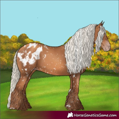 Horse Color:Gray White Spotted Gold Champagne Mushroom Blanket 