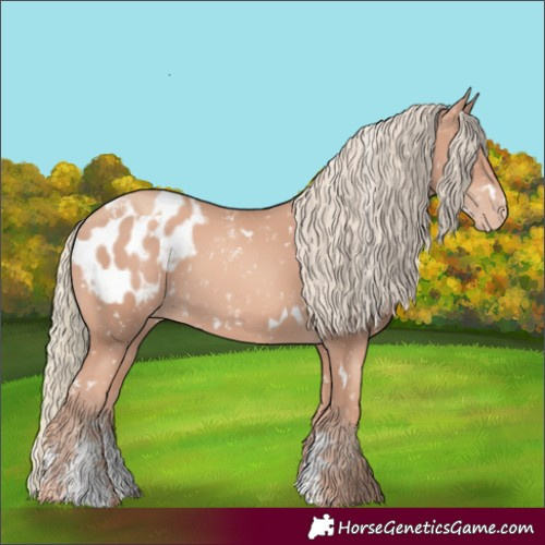 Horse Color:Powder White White Spotted Gold Champagne Mushroom Blanket 