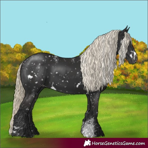 Horse Color:Powder White Gray White Spotted Liver Chestnut Mushroom Snowflake Varnish 