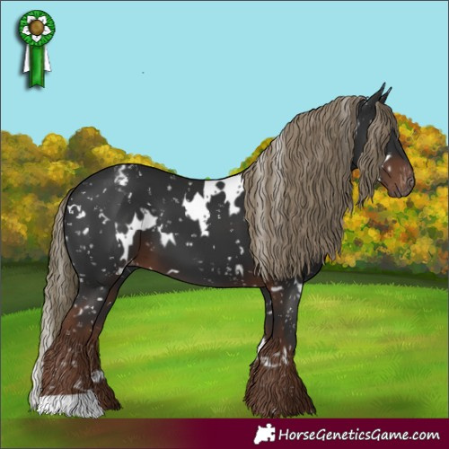 Horse Color:Gray White Spotted Liver Chestnut Mushroom Snowflake Varnish 