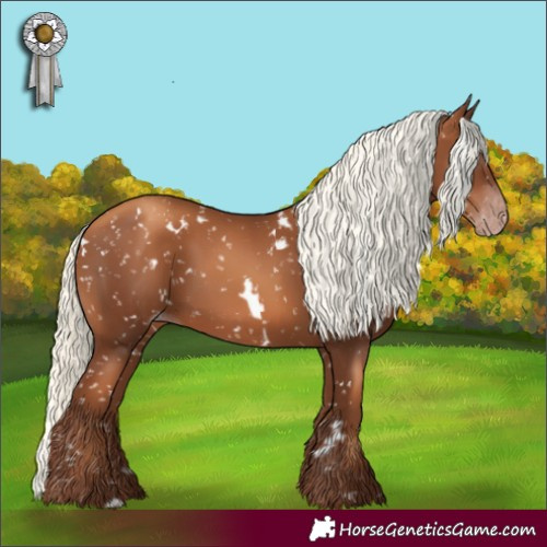 Horse Color:Gray White Spotted Gold Champagne Mushroom Snowflake Varnish