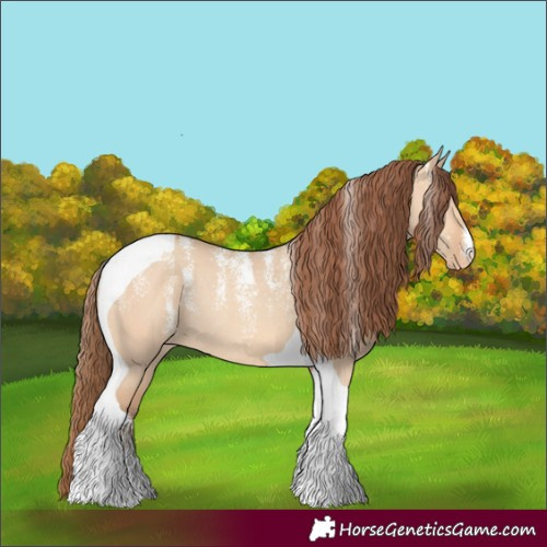 Horse Color:Powder White Amber Champagne Dun Tobiano Varnish Rabicano 