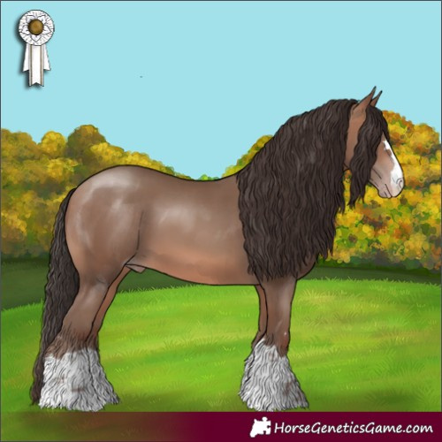 Horse Color:Sable Champagne 