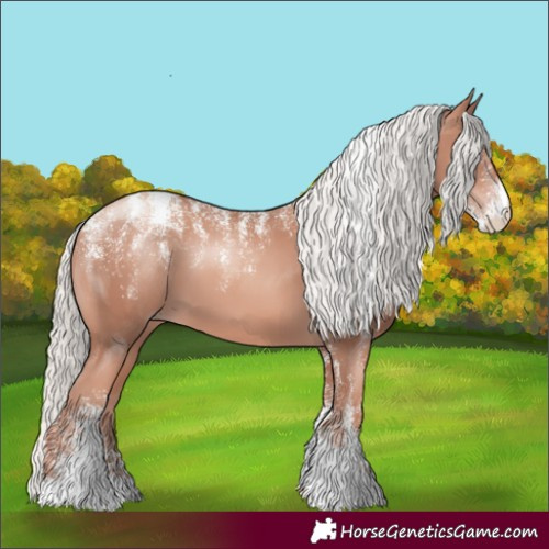 Horse Color:Powder White Gold Champagne Mushroom