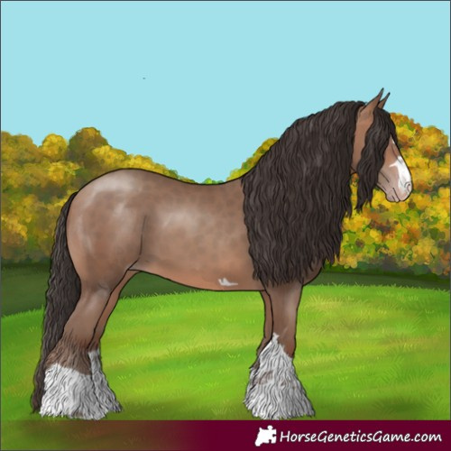 Horse Color:Sable Champagne 