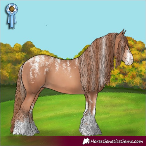 Horse Color:Powder White Gold Champagne 