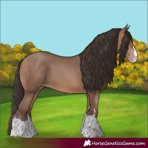 Horse Color:Sable Champagne