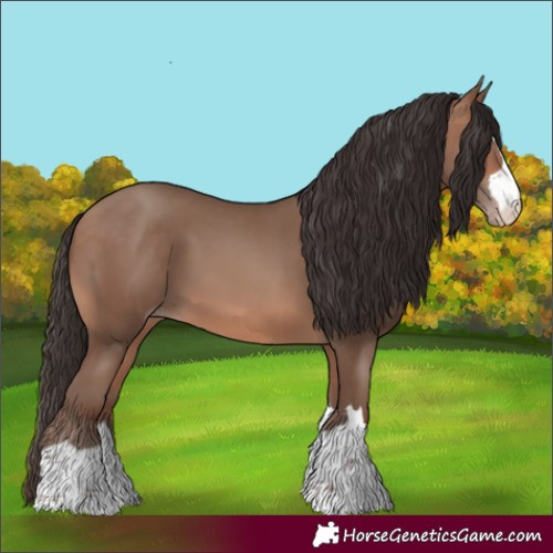 Horse Color:Sable Champagne 