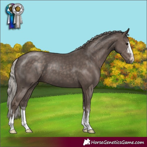 Horse Color:Silver Black 