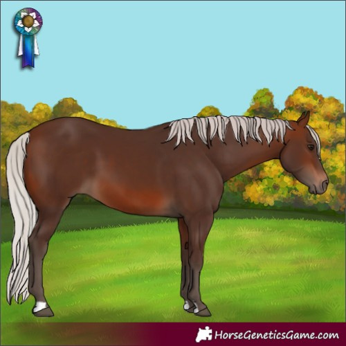 Horse Color:Silver Brown 