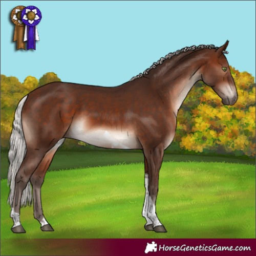 Horse Color:Silver Brown Mushroom Tobiano