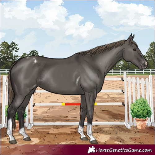 Horse Color:Smoky Grullo Tobiano Varnish Rabicano
