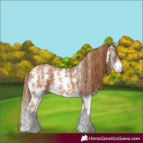 Horse Color:Chestnut Sabino