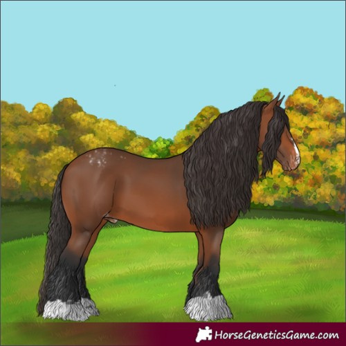 Horse Color:Bay Snowcap
