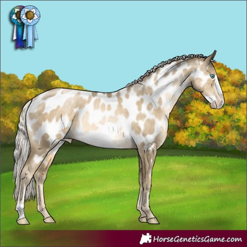 Horse Color:Silver Smoky Black Pearl Frame Near Leopard Rabicano 