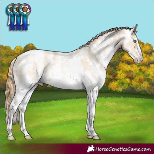 Horse Color:Smoky Black Pearl Sabino