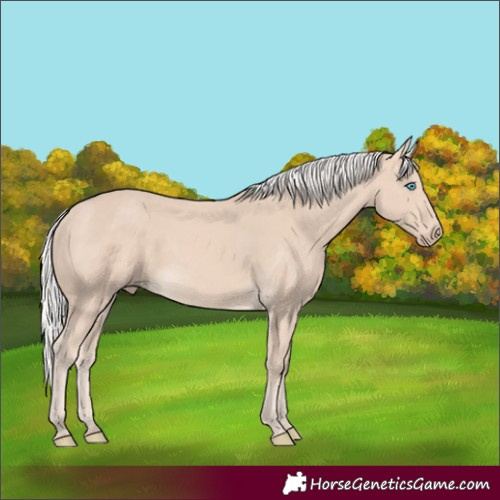 Horse Color:Silver Perlino Rabicano 