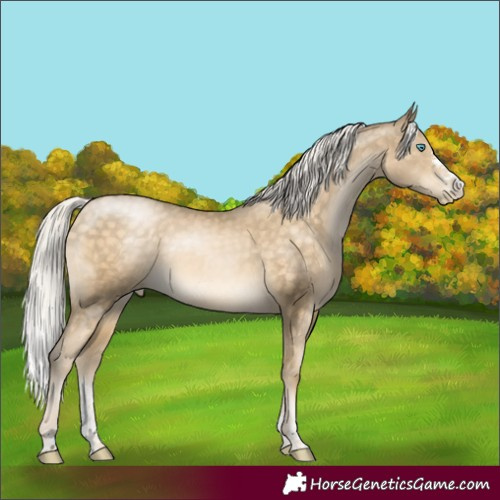 Horse Color:Silver Buckskin Pearl Sabino Rabicano 