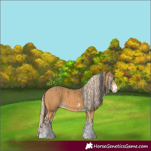 Horse Color:White Spotted Buckskin and White Spotted Palomino