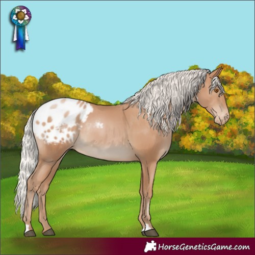 Horse Color:Silver Black Pearl Varnish Rabicano