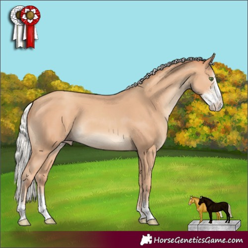 Horse Color:Silver Classic Champagne Sabino 