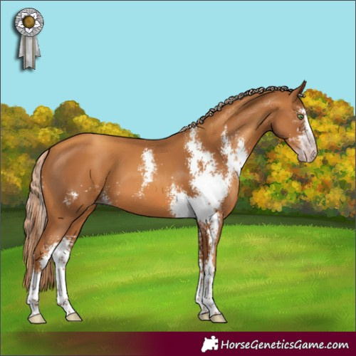 Horse Color:Gray Gold Champagne Sabino 