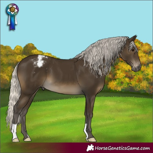 Horse Color:Gray Silver Smoky Black Varnish