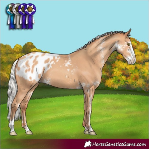 Horse Color:Silver Amber Champagne Sabino Varnish Rabicano