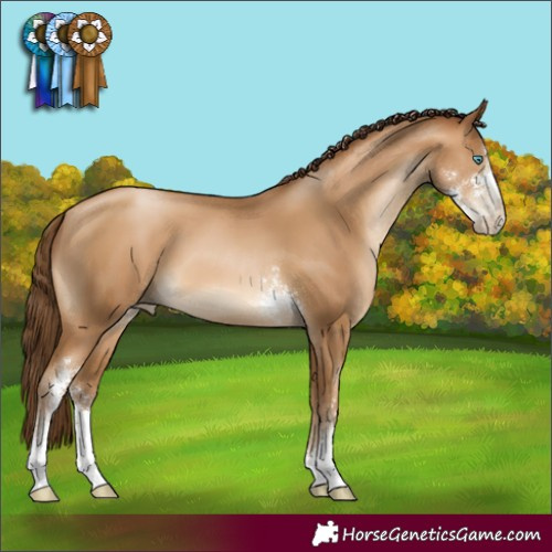 Horse Color:Gray Amber Champagne Pearl Sabino 