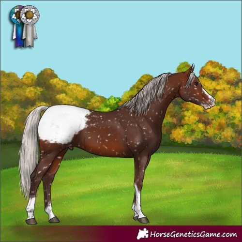 Horse Color:Silver Bay Splash Tobiano Snowcap 