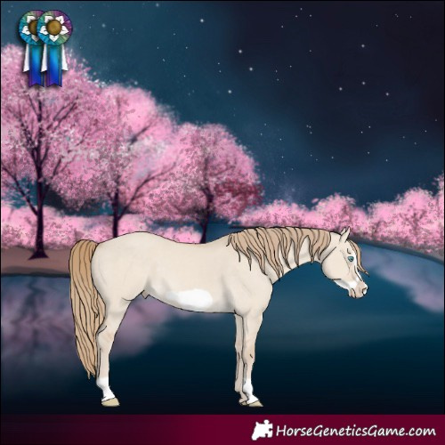 Horse Color:Smoky Creme Dun Frame