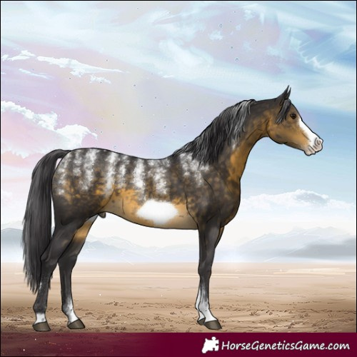 Horse Color:Powder White Buckskin Frame 