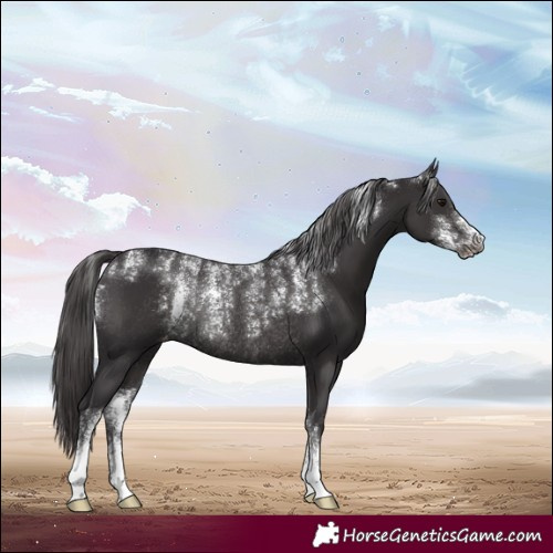 Horse Color:Powder White Smoky Black Varnish Rabicano 