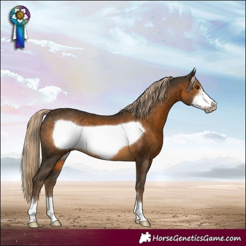 Horse Color:Chocolate Palomino Frame