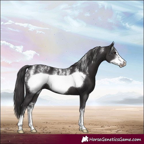 Horse Color:Powder White Smoky Black Frame 