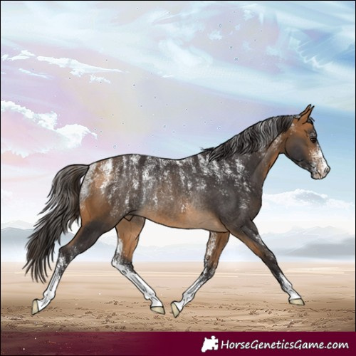 Horse Color:Powder White Buckskin Rabicano 