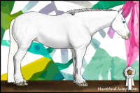 Horse Color:Silver Amber Champagne Roan Dun Splash Tobiano Frame Blanket Rabicano 