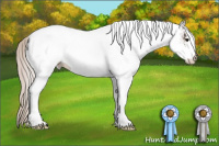 Horse Color:White Spotted Silver Black Varnish Rabicano