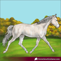 Horse Color:Cremello Sabino  and Cremello Sabino 