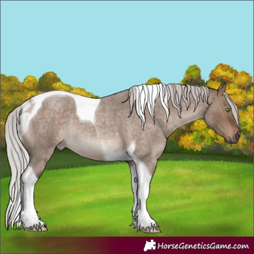 Horse Color:Silver Brown Roan Dun Tobiano 