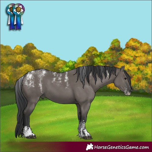 Horse Color:Powder White Grullo