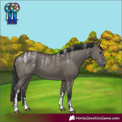Horse Color:Powder White Grullo Rabicano